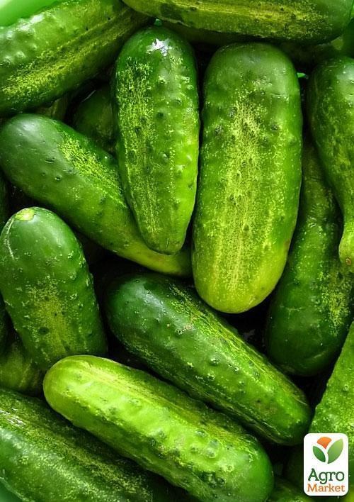 Огірок "Біляївський" (Зипер) ТМ "Весна" 2г - фото 4