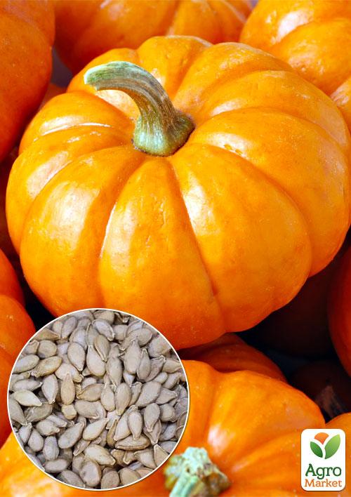 На развес Тыква "Мускат Прованса" ТМ "Весна" цена за 10г