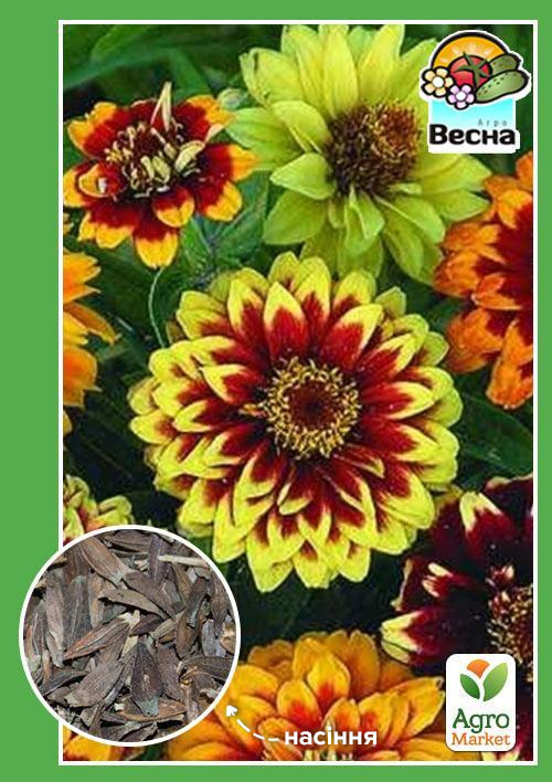 Цинія "Старий Мехіко" ТМ "Весна" 0.4г