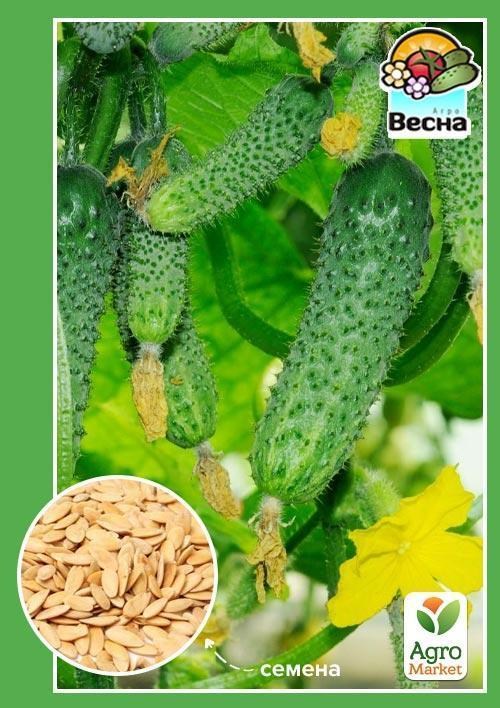 Огурец "Маменькин сынок F1" (Новый пакет) ТМ "Весна" 0.25г