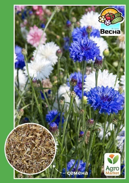 Волошка "Махрова суміш" ТМ "Весна" 0.3г