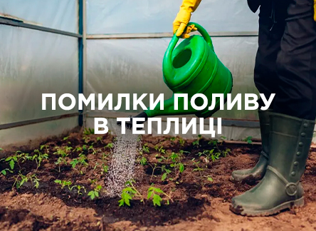 Ошибки полива в теплице