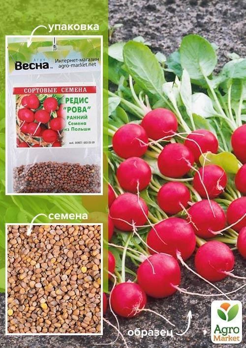 Редис "Рова" (Зипер) ТМ "Весна" 7г