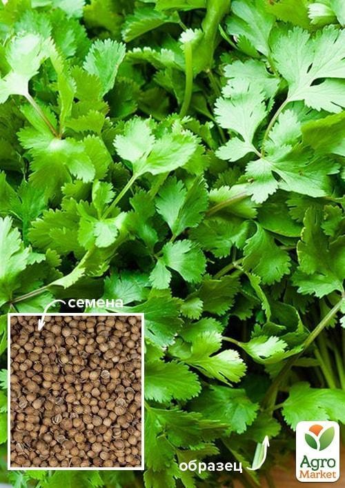 Кориандр "Пикантный" ТМ "Весна" 500г