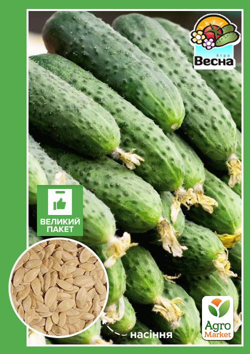 Огірок "Засолочний" (Великий пакет) "Весна" 2г
