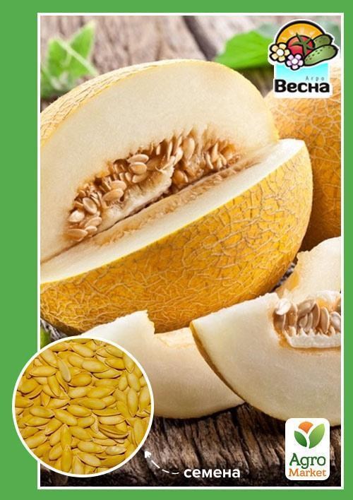 Диня "Придністровська" ТМ "Весна" 1.5г