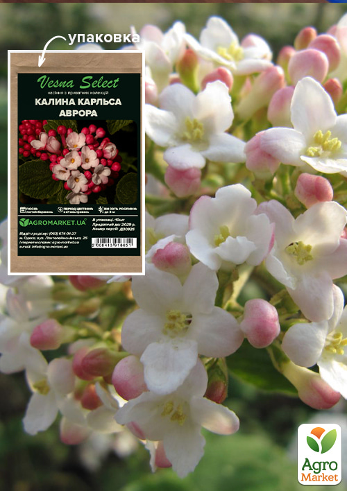 Калина Карльса "Аврора" ТМ "Vesna Select" 10шт