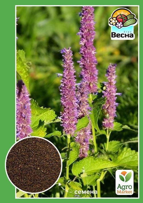 Лофант анісовий ТМ "Весна" 0.2г