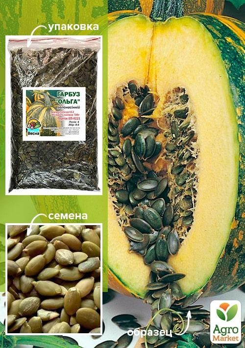 Гарбуз "Ольга" ТМ "Весна" 500г