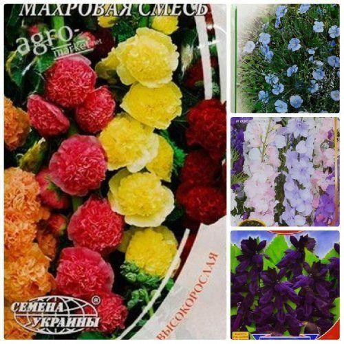 Комплект семян цветов "Цветочное чудо" 5уп