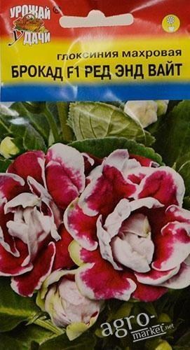 Глоксиния махровая "Брокад F1 рэд энд вайт" ТМ "Урожай у дачи" 3шт