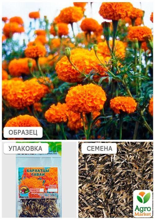 Бархатцы "Гаваи" (Зипер) ТМ "Весна" 1г - фото 2