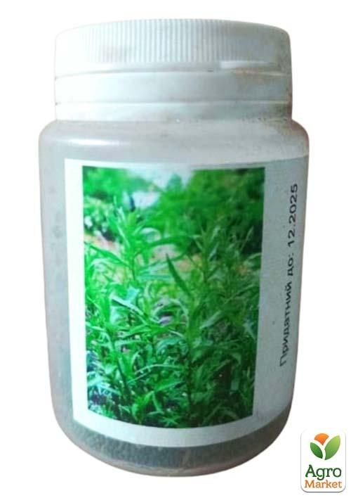 Эстрагон (в банке) ТМ "Весна Органик" 4г - фото 2