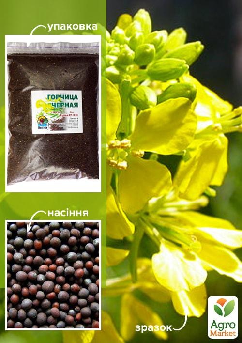 Гірчиця чорна ТМ "Весна" 500г