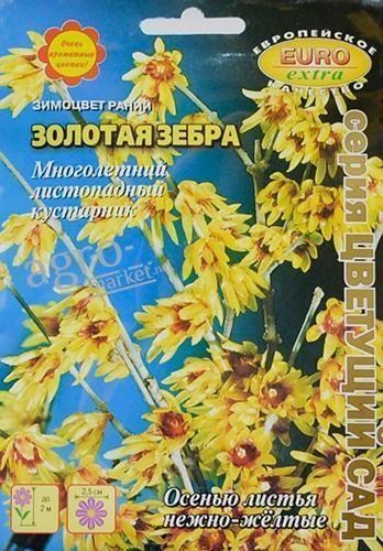 Зимоцвіт ранній "Золота зебра" ТМ "Аеліта" 0.6г