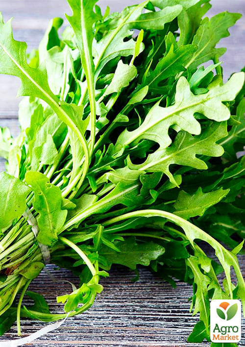 На развес Петрушка "Урожайная" ТМ "Весна" цена за 10г - фото 2