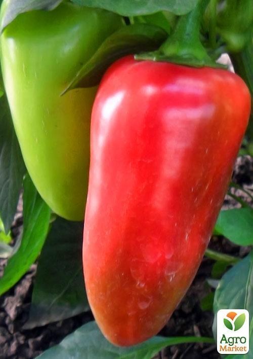 Перець "Руслан" ТМ "Vesna Select" 20шт - фото 3