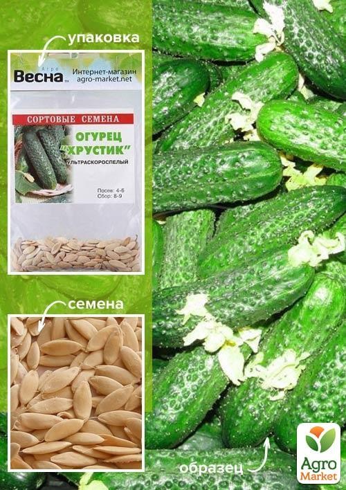 Огірок "Хрустик" (Зипер) ТМ "Весна" 2г