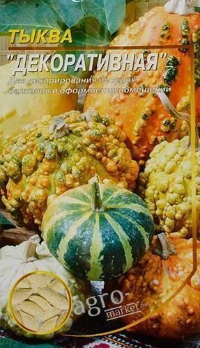 Тыква "Декоративная" ТМ "Весна" 1.5г - фото 2
