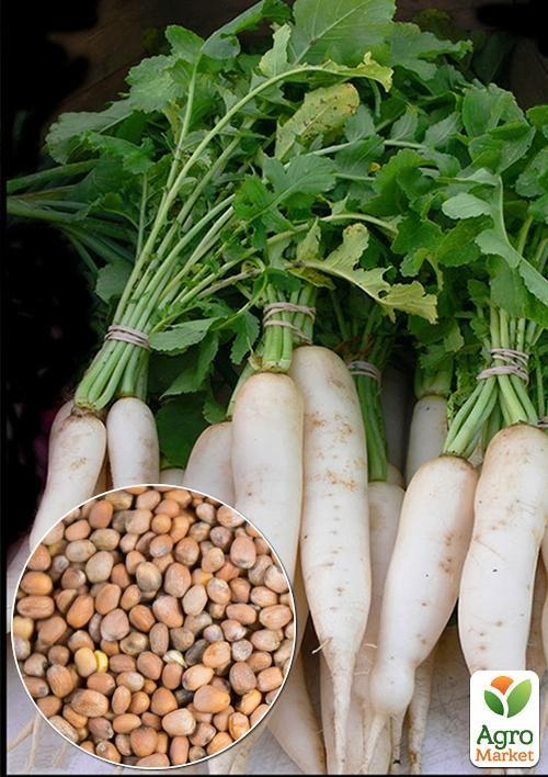 На развес Редис "Леда" ТМ "Весна" цена за 10г