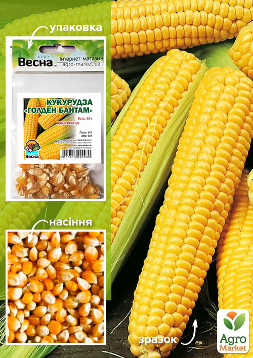 Кукуруза "Голден Бантам" (Зипер) ТМ "Весна" 15г