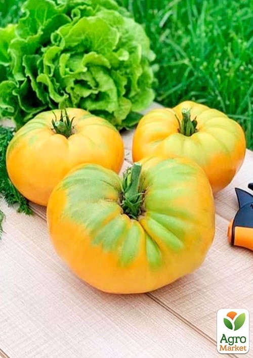 На развес Томат "Корифей" ТМ "Весна" цена за 1г - фото 2