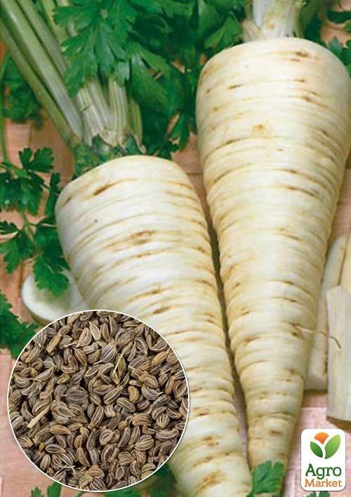 На развес Петрушка корневая "Сахарная" ТМ "Весна" цена за 5г