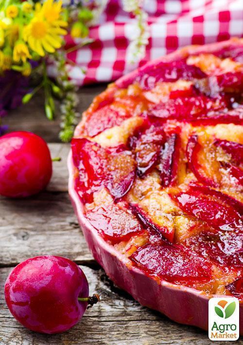 Слива "Голливуд" (летний сорт, средний срок созревания) - фото 4