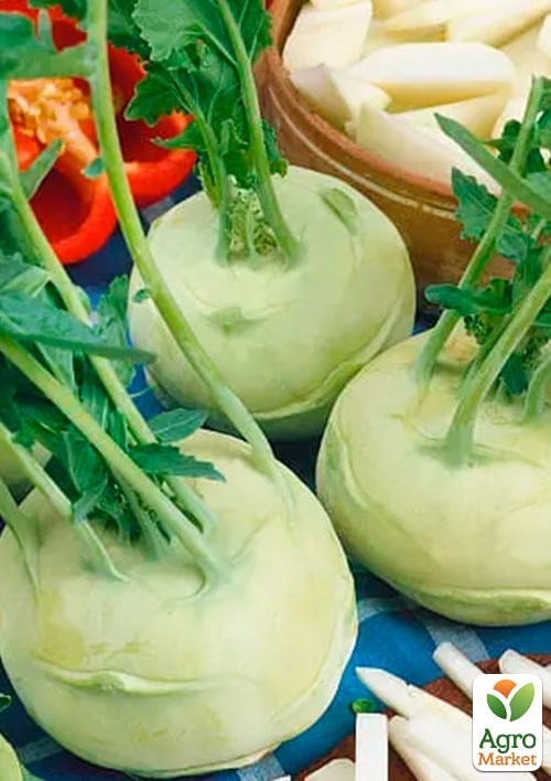 Капуста "Кольрабі біла" (Зипер) ТМ "Весна" 1г - фото 2