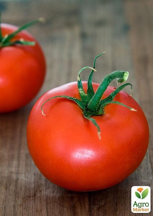 Томат "Мичуринец" ТМ "Vesna Select" 0,2г - фото 3