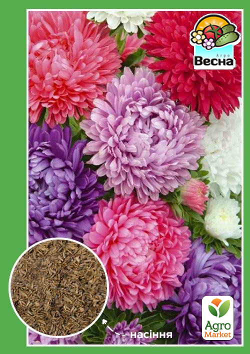 Астра "Пионовидная" (Большой пакет) ТМ "Весна" 0,5г - фото 2