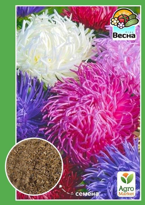 Астра "Коготковая  смесь" ТМ "Весна" 0.2г