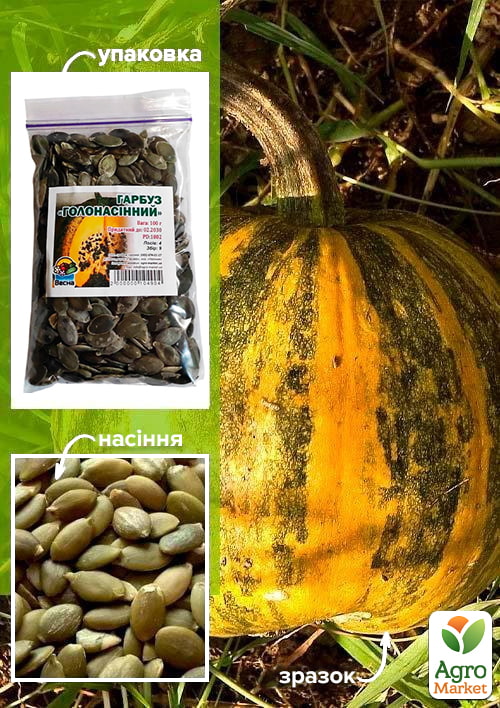 Гарбуз "Голонасінний" ТМ "Весна" 100г