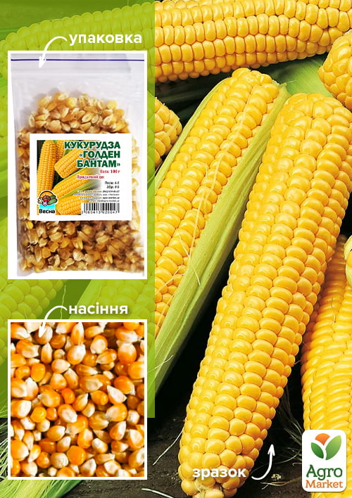 Кукуруза "Голден Бантам" ТМ "Весна" 100г