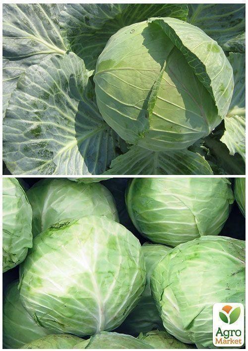 На развес Капуста "Украинская осень" ТМ "Весна" цена за 6г - фото 3