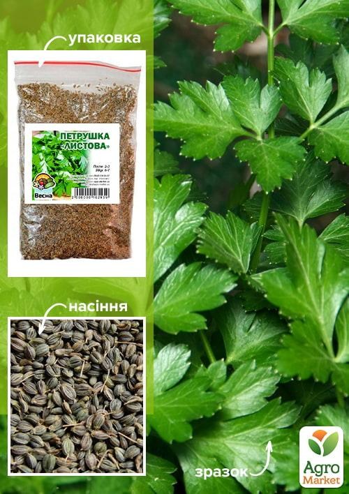 Петрушка "Листовая" ТМ "Весна" 100гр