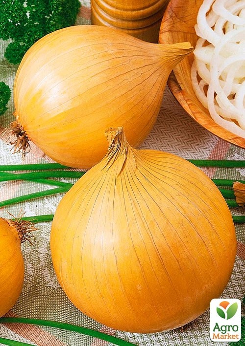 Лук "Баллада" (Зипер) ТМ "Весна" 3г