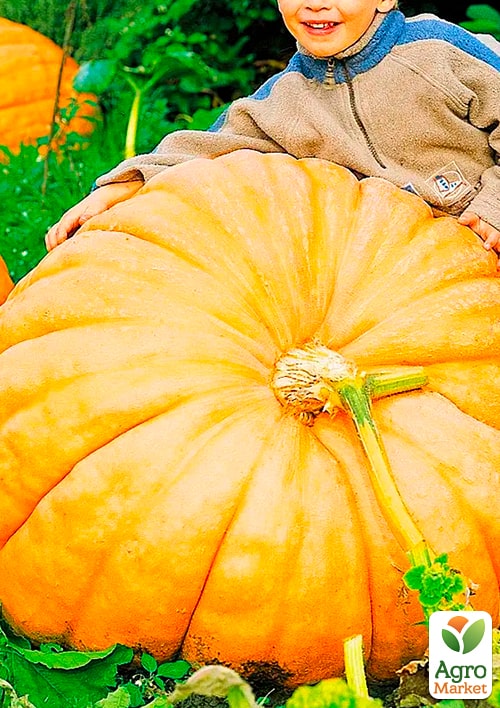 Тыква "Стофунтовая" (Зипер) ТМ "Весна" 5г - фото 3