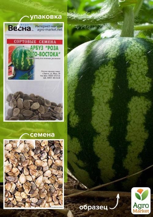 Арбуз "Роза Юго-востока" (Зипер) ТМ "Весна" 4г