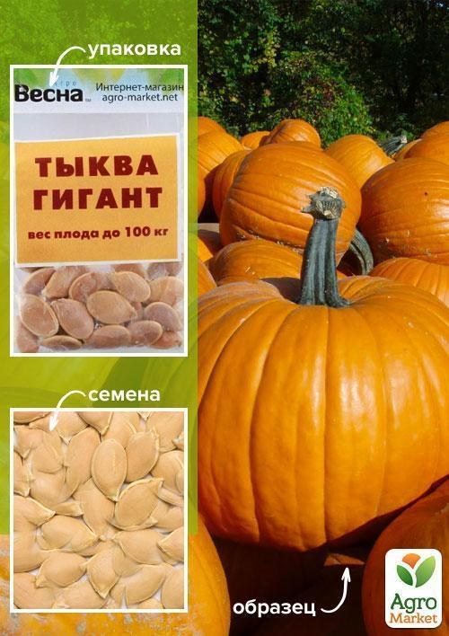 Гарбуз "Гігант" (Зипер) ТМ "Весна" 5г