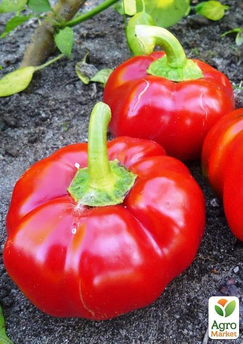 Перец "Мариша" ТМ "Vesna Select" 20шт - фото 4