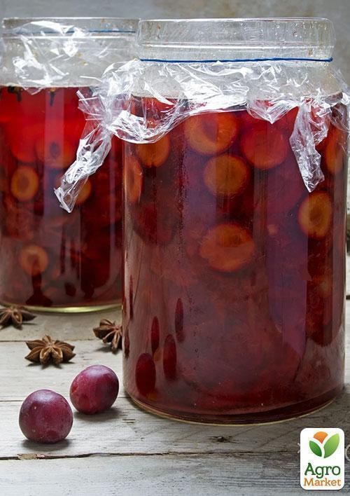 Слива "Калифорния Блю" - фото 3