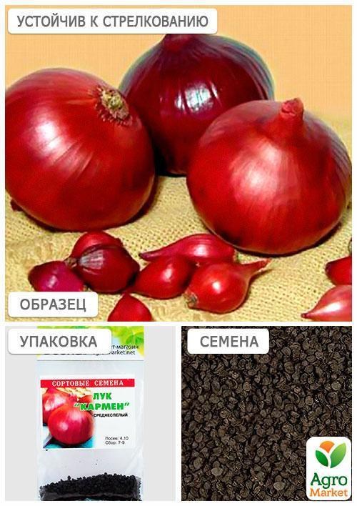 Лук "Кармен" (Зипер) ТМ "Весна" 3г - фото 3