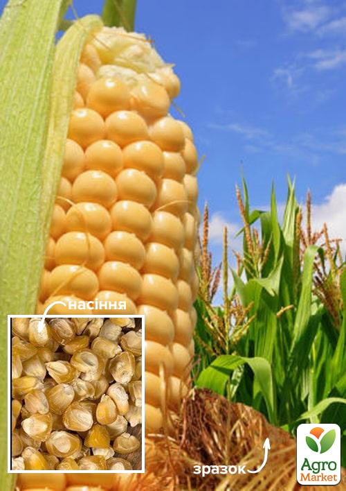 Кукуруза "Суперсладкая" ТМ "Весна" 500г