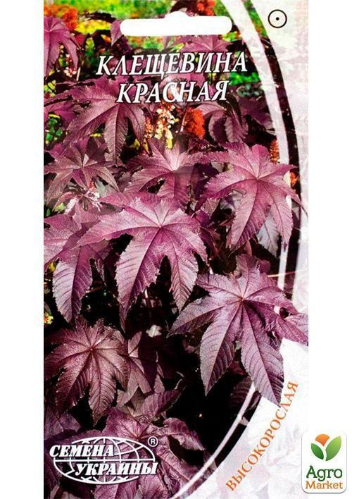 Клещевина красная ТМ "Семена Украины" 2шт