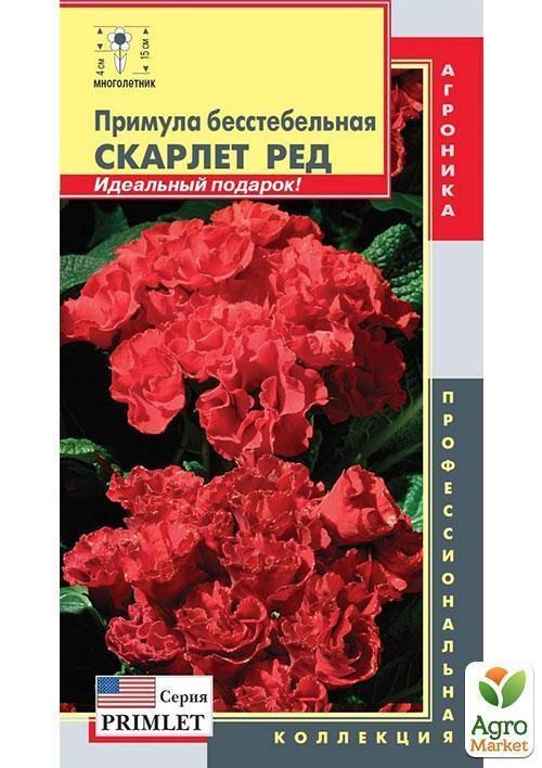 Примула бесстебельная "Скарлет Ред" ТМ "Плазмові насіння" 5шт