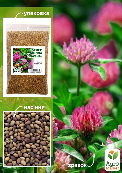 Клевер "Рубиновая поляна" 100г