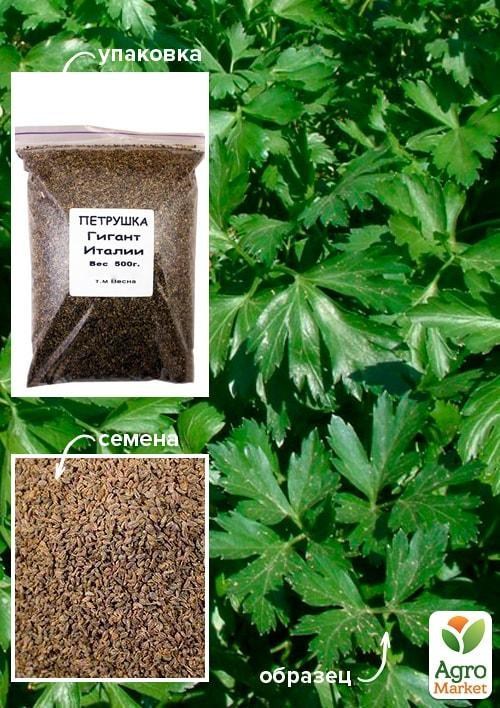 Петрушка "Гигант Италии" ТМ "Весна" 500г
