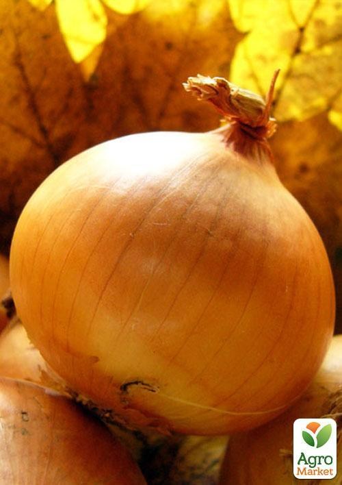 Лук "Луганский" (в банке) ТМ "Весна Органик" 10г