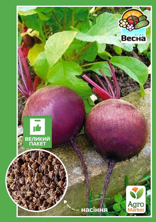 Свекла "Круглая темно-красная" (Большой пакет) ТМ "Весна" 6г
